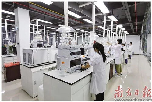 蓬江 以科技創(chuàng)新為引擎，新材料研發(fā)驅(qū)動(dòng)產(chǎn)業(yè)升級(jí)