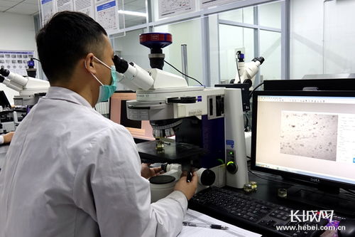 四通新材 防控生產(chǎn)雙驅(qū)動(dòng)，國(guó)內(nèi)外訂單全面恢復(fù)，新材料研發(fā)蓄力未來(lái)